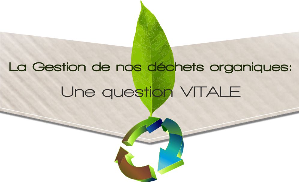 La gestion des déchets organiques en Normandie